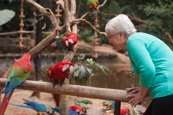 Itaipu Dam & Bird Park & Iguassu Falls Brazilian Side - Private Tour - The Sum Up: Is It Worth It?