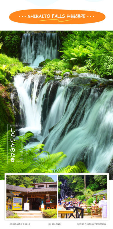 Itoshima Coast & Nature: Shiraito Falls, Meoto Rocks & Totoro Trail - Meoto Rocks: The Coast’s Big View