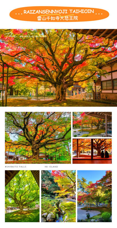 Itoshima Coast & Nature: Shiraito Falls, Meoto Rocks & Totoro Trail - Totoro Trail: A Short Walk, Not a Hike