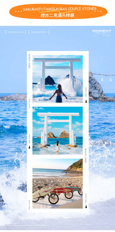 Itoshima Coast & Nature: Shiraito Falls, Meoto Rocks & Totoro Trail - Lunch and Photo Stops: Make the Most of Limited Time