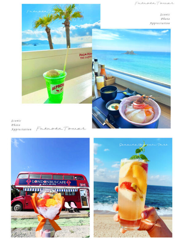 Itoshima Coast & Nature: Shiraito Falls, Meoto Rocks & Totoro Trail - Who Should Book This Tour?