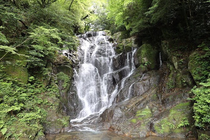 Itoshima Day TourFalls, Cafe, Seafood & More (from Hakata) - A Thorough Look at the Itoshima Day Tour