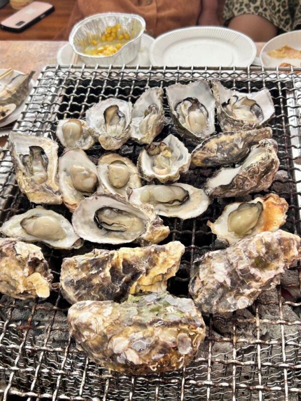 Itoshima Nature Tour with Oyster - Key Points