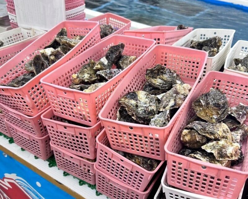 Itoshima Nature Tour with Oyster - Exploring Itoshima: The Heart of Kyushu’s Coastal Beauty