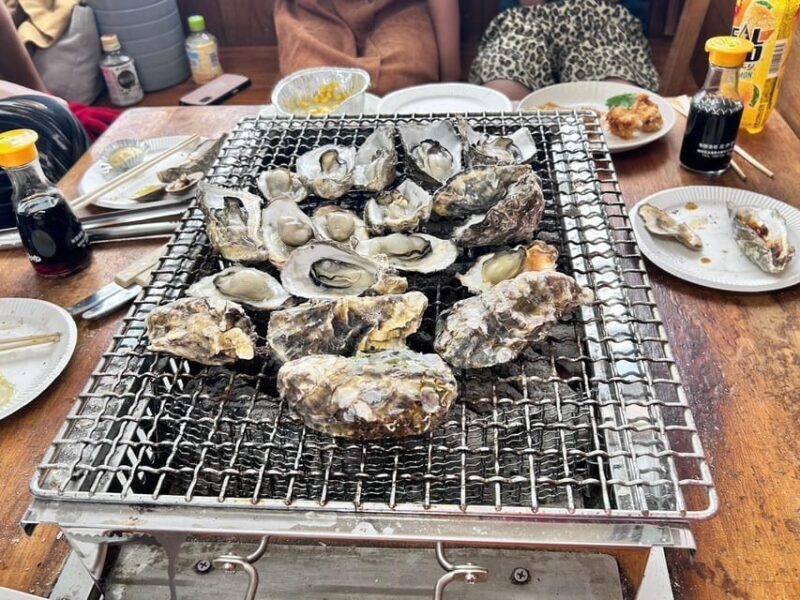 Itoshima Nature Tour with Oyster - Practical Details and Considerations