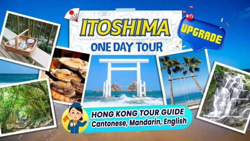 Itoshima Scenic TourTotoro Forest, Falls & Ocean View Spots - A Deep Dive into the Itoshima Scenic Tour