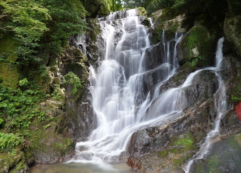 Itoshima | Shiraito Falls & Forest Cafe & Totoro Forest & Grilled Seafood & Handmade Flower Salt Pudding & Sakurai Futamigaura & Angels Wings & Coconut Tree Swing Day Trip (Departing from Hakata Station) Cantonese, Mandarin & English Guide - Shiraito Falls: a cool mountain pause