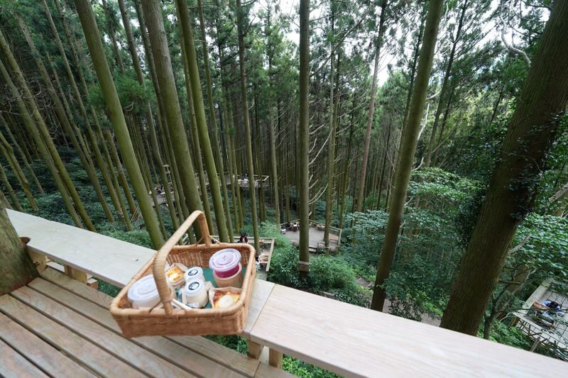 Itoshima | Shiraito Falls & Forest Cafe & Totoro Forest & Grilled Seafood & Handmade Flower Salt Pudding & Sakurai Futamigaura & Angels Wings & Coconut Tree Swing Day Trip (Departing from Hakata Station) Cantonese, Mandarin & English Guide - Seafood lunch by the water