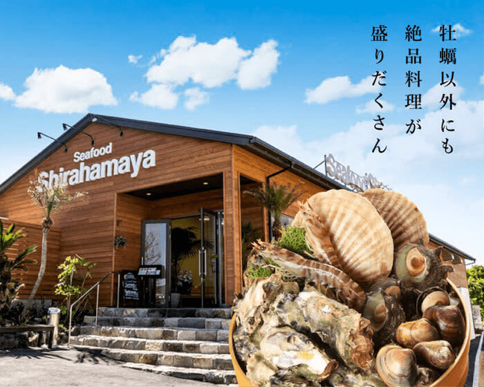 Itoshima | Shiraito Falls & Forest Cafe & Totoro Forest & Grilled Seafood & Handmade Flower Salt Pudding & Sakurai Futamigaura & Angels Wings & Coconut Tree Swing Day Trip (Departing from Hakata Station) Cantonese, Mandarin & English Guide - A woodland path with a Totoro-like mood