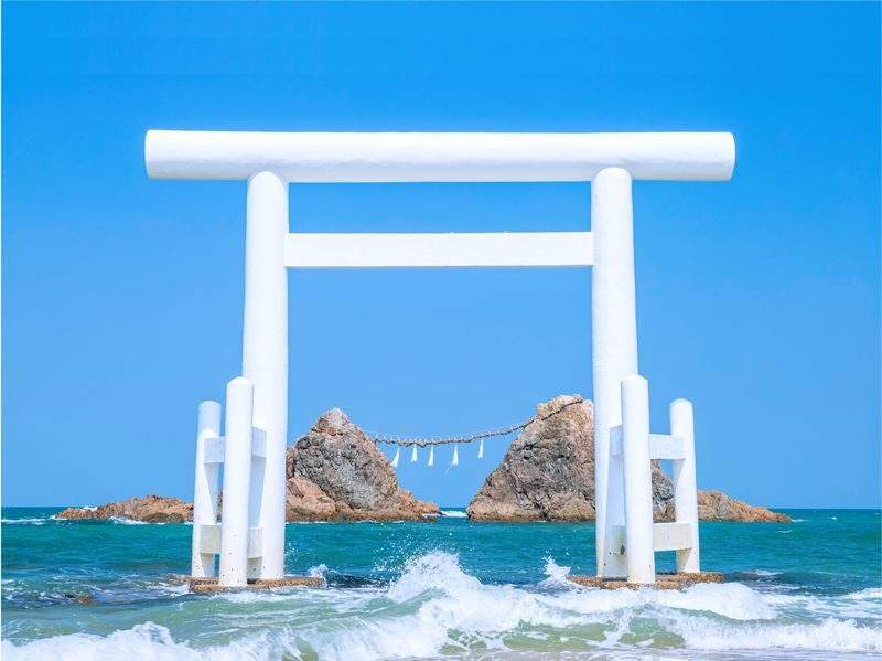 Itoshima | Shiraito Falls & Forest Cafe & Totoro Forest & Grilled Seafood & Handmade Flower Salt Pudding & Sakurai Futamigaura & Angels Wings & Coconut Tree Swing Day Trip (Departing from Hakata Station) Cantonese, Mandarin & English Guide - What the guide can add to the day