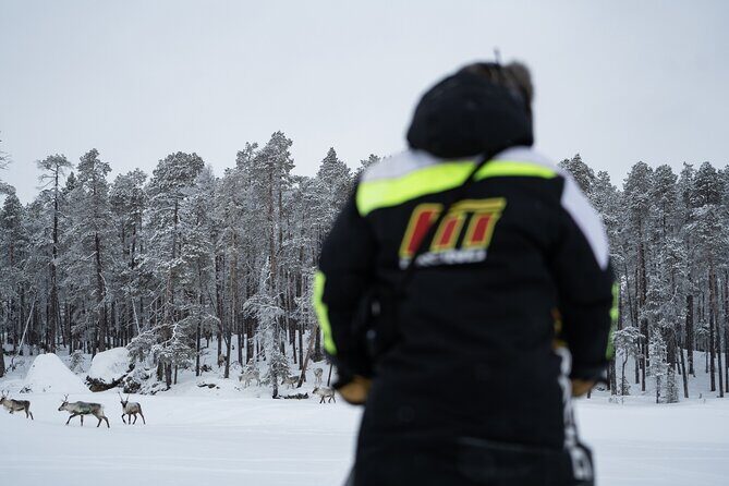 Ivalo: A Day in the Life of Reindeer Herders - A Thorough Look at the Experience