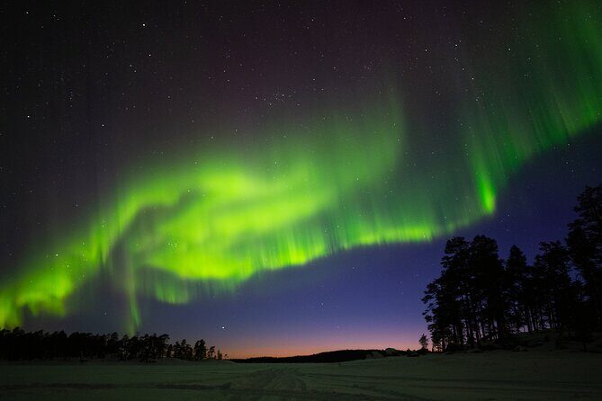 Ivalo: Wilderness Adventure by Snowmobile Sleigh - Who Should Consider This Tour?