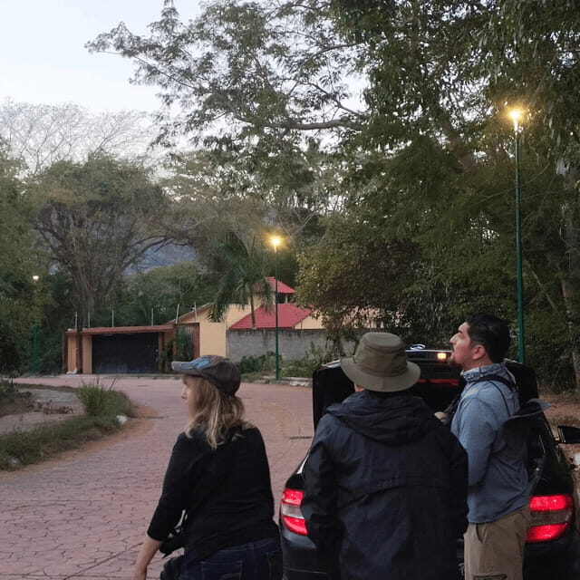 Ixtapa: Bird Watching Tour with Round-Trip Transportation - The Experience in Detail