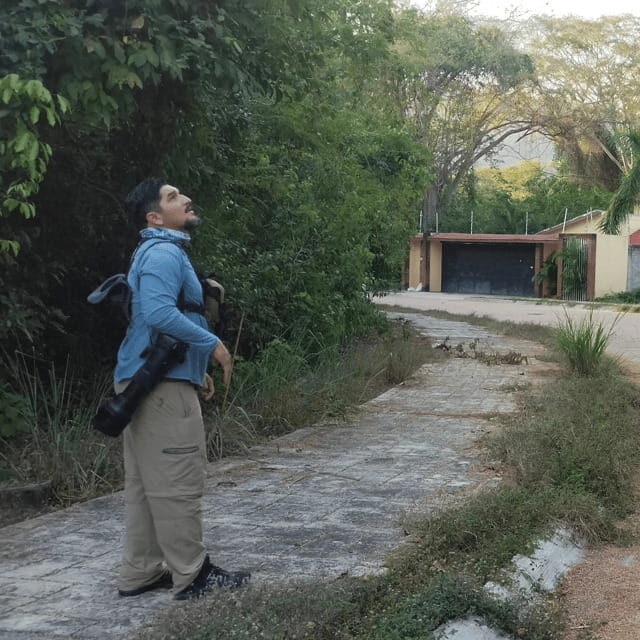 Ixtapa: Bird Watching Tour with Round-Trip Transportation - FAQs