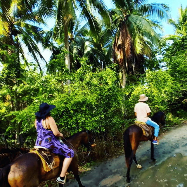 Ixtapa: Horseback Riding Tour Along Playa Larga - Why Choose This Horseback Riding Tour?