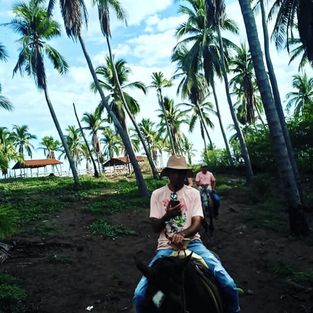 Ixtapa: Horseback Riding Tour Along Playa Larga - Authentic Details and Traveler Insights