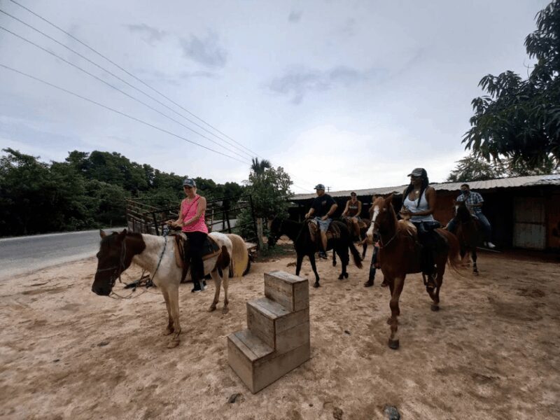 Ixtapa: Horseback Riding Tour Along Playa Larga - Final Thoughts
