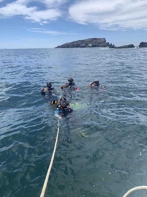 Ixtapa: Marine Life Exploration - FAQs