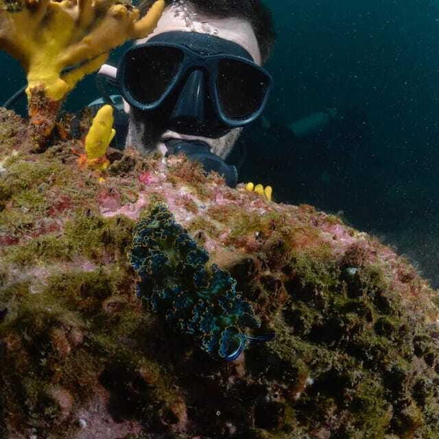 Ixtapa: Nighttime Underwater Exploration at Piedra Solitaria - Exploring the Magic of Nighttime in Ixtapa