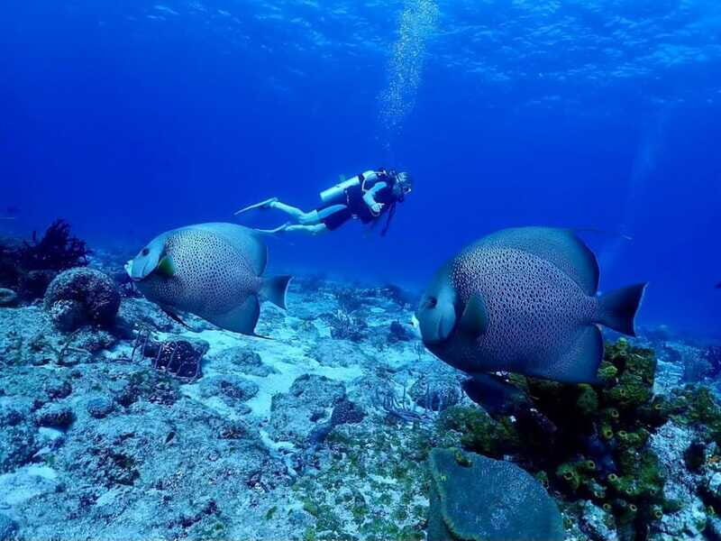 Ixtapa: Nighttime Underwater Exploration at Piedra Solitaria - The Experience Itself