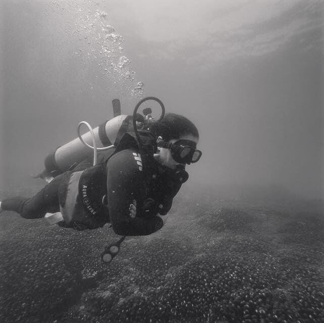 Ixtapa: Nighttime Underwater Exploration at Piedra Solitaria - Practical Details and What to Expect