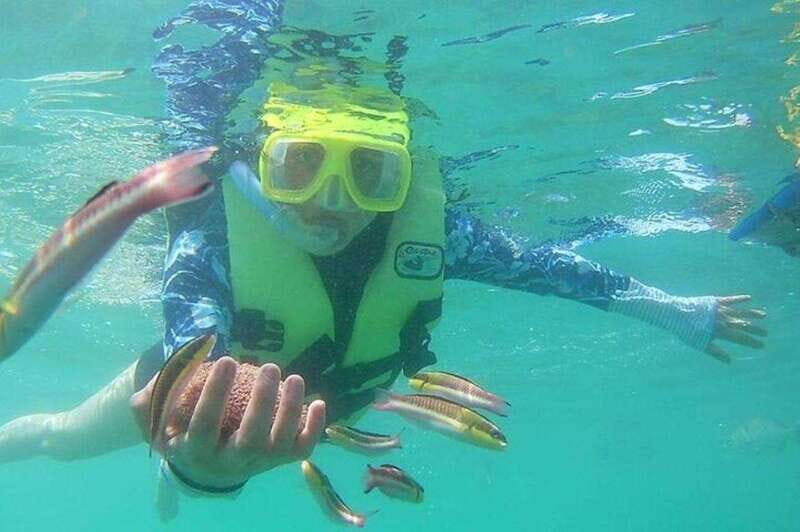 Ixtapa: Snorkeling Tour to Ixtapa Island - An In-Depth Look at Ixtapa Snorkeling Tour