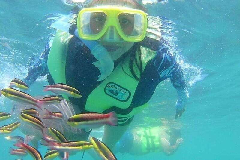 Ixtapa: Snorkeling Tour to Ixtapa Island - Frequently Asked Questions