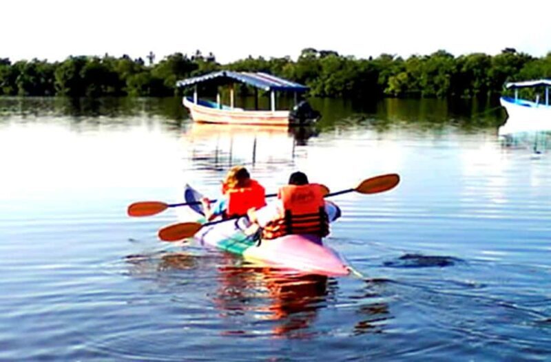 Ixtapa Zihuatanejo: Kayak Tour at Barra de Potosí - Who This Tour Is Best For