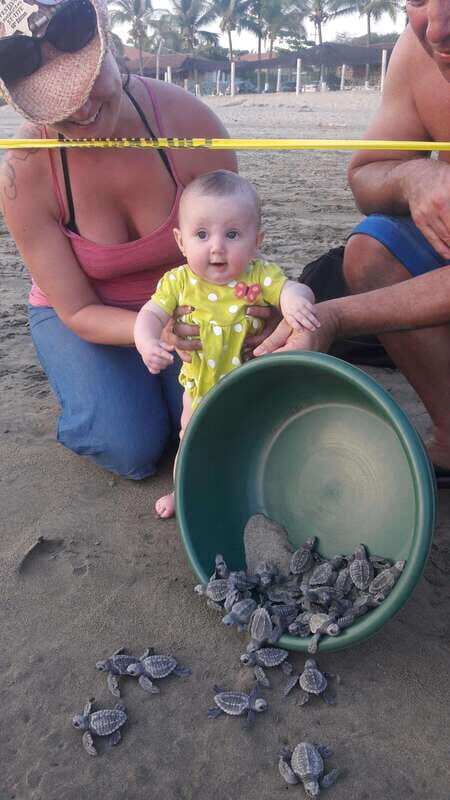 Ixtapa-Zihuatanejo: Turtle Release Tour. - A Deep Dive into the Turtle Release Tour