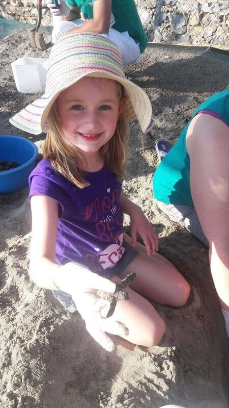 Ixtapa-Zihuatanejo: Turtle Release Tour. - FAQs