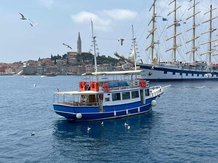 Izlet brodom iz Vrsara: Zalazak sunca i druenje s delfinima - The Authenticity and Value of the Experience