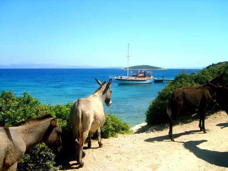 Izmir: Cesme Boat Tour and Alacati Visit - Who Should Consider This Tour?