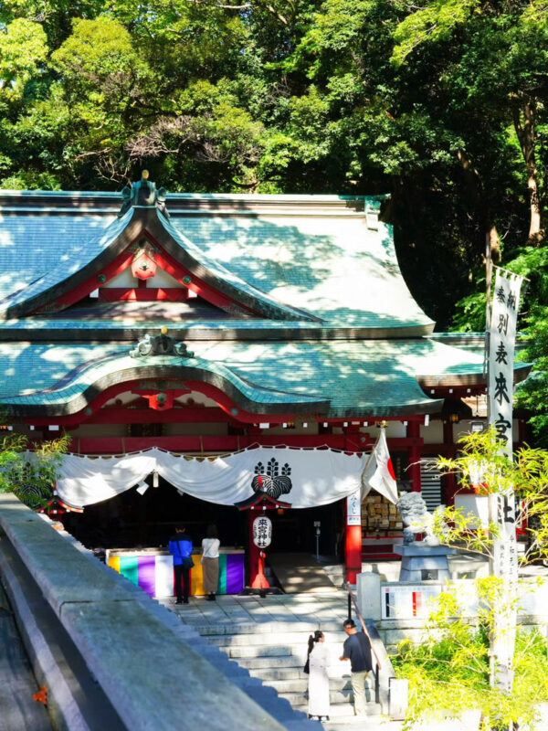 Izu Atami Fireworks Festival & Izu Omuroyama tour - Hakone and Lake Ashi: a third route, not an extra stop