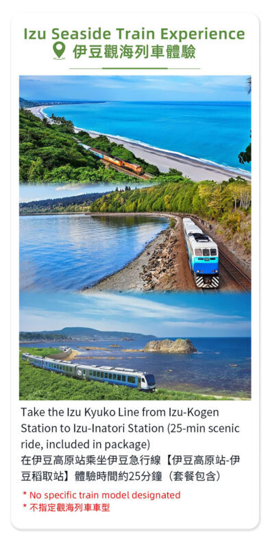 Izu Atami: Mount Omuro (including cable car)/Cactus Zoo & Jogasaki Coast & Kadowaki Suspension Bridge Day Tour (Small Group with complimentary Sea View Train Ticket) - Jogasaki Coast and the Kadowaki Suspension Bridge