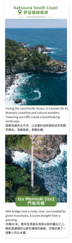 Izu Atami: Mount Omuro (including cable car)/Cactus Zoo & Jogasaki Coast & Kadowaki Suspension Bridge Day Tour (Small Group with complimentary Sea View Train Ticket) - Ito Marine Town is a practical last stop