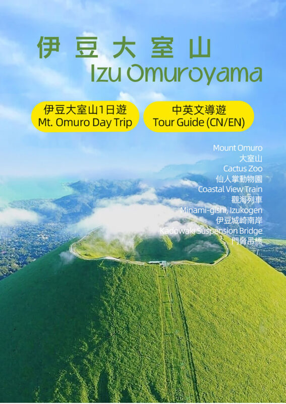 Izu Atami: Mount Omuro (including cable car)/Cactus Zoo & Jogasaki Coast & Kadowaki Suspension Bridge Day Tour (Small Group with complimentary Sea View Train Ticket) - Is the sea-view train part of your tour?