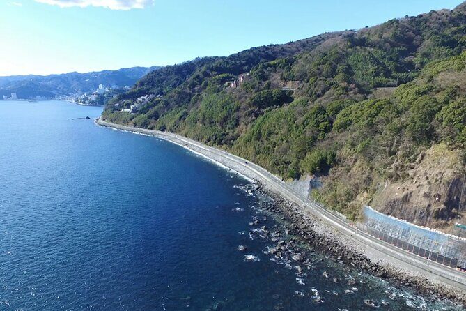 Izu Mount Omuro Day Tour: Atami Beach Line,Ropeway,Jogasaki Coast - Practicalities and Considerations