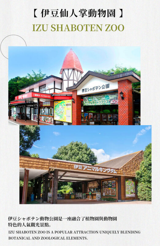 Izu Mount Omuro Day Trip: Stunning Atami Coastline/Ocean View Train Optional & Mount Omuro Ropeway & Jogasaki Coast Secret Adventure & Ito Marine Town Stroll - Who will get the most from this day