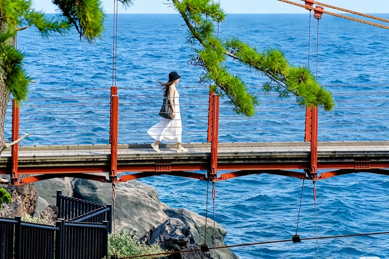 Izu Mt. Omuro & Atami Fireworks Small-Group Day Tour - Who should book this day tour?