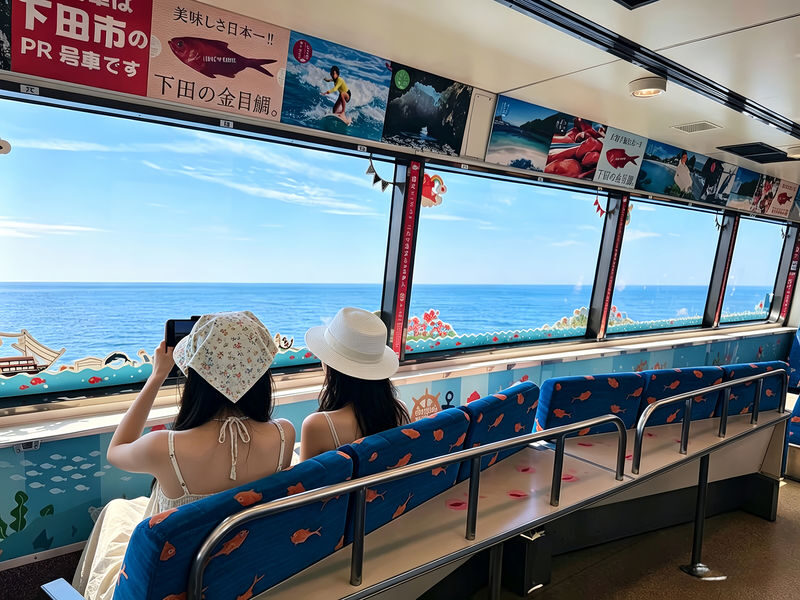 Izu: Mt. Omuro & Cactus Animal Park & Jogasaki Coast & Kadowaki Suspension Bridge Day Trip (Includes Sea View Train Experience) - What the price covers, and what it does not