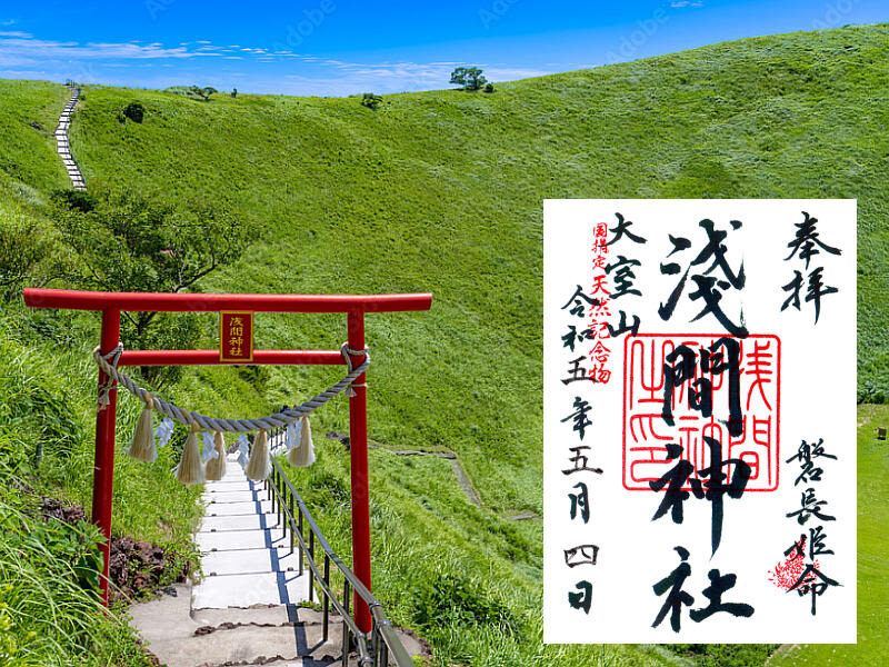 Izu Ocean View Day Trip: Jogasaki Coast & Ocean View Train & Mt. Omuro/Izu Cactus Zoo | Departure from Tokyo - The Izu ocean-view train adds a welcome pause