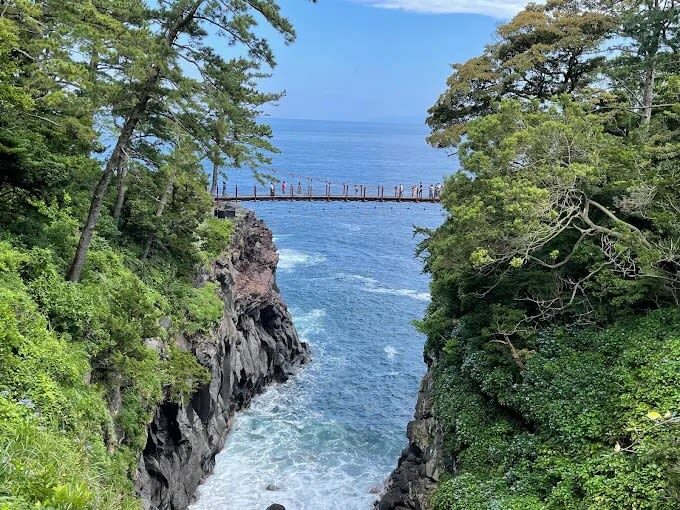 Izu Ocean View Day Trip: Jogasaki Coast & Ocean View Train & Mt. Omuro/Izu Cactus Zoo | Departure from Tokyo - A useful tour, with the limits of a group schedule