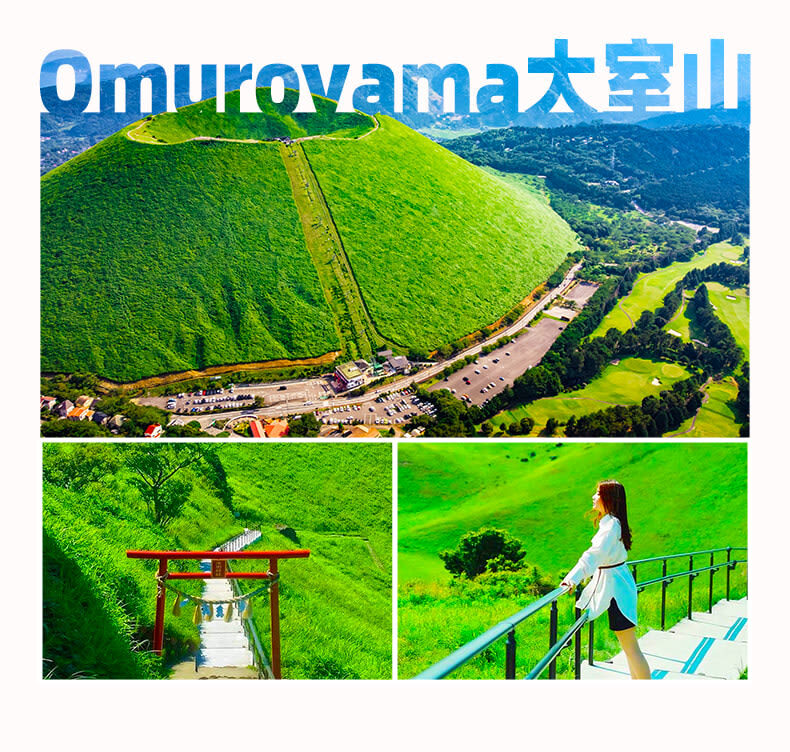 Izu Omuroyama and Jogasaki Coast Full-Day Small Group Experience - The coastal train depends on your package