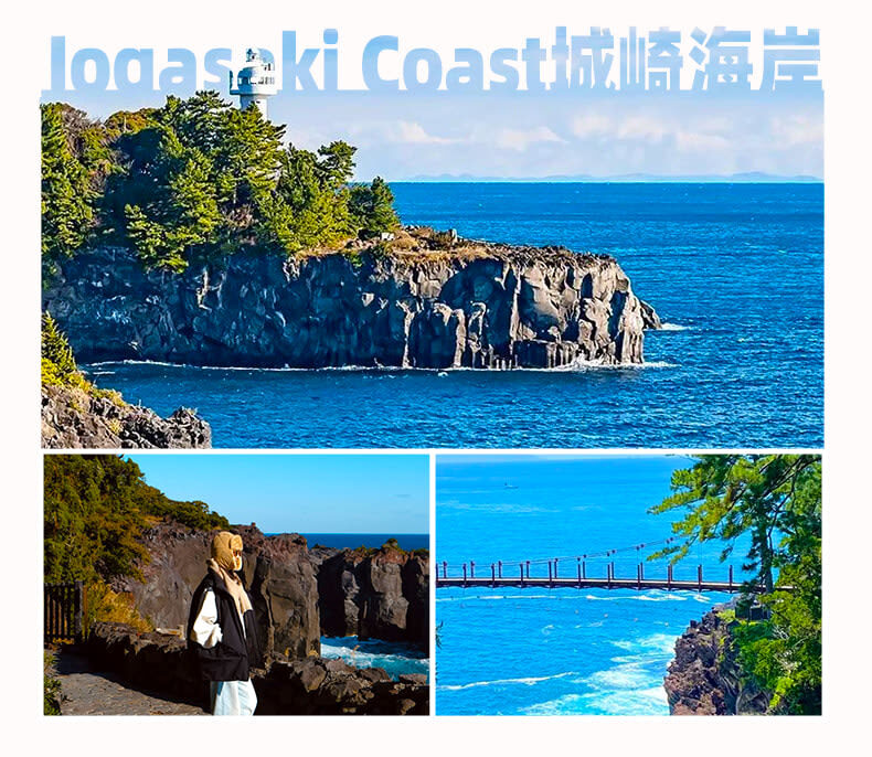 Izu Omuroyama and Jogasaki Coast Full-Day Small Group Experience - A zoo visit may change the day’s shape