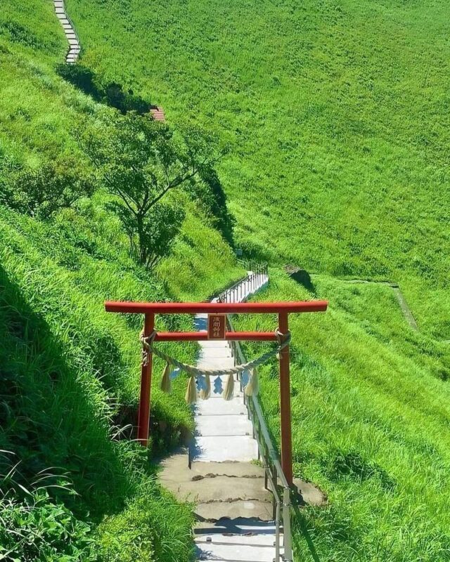Izu Omuroyama and Jogasaki Coast Full-Day Small Group Experience - What the price buys you