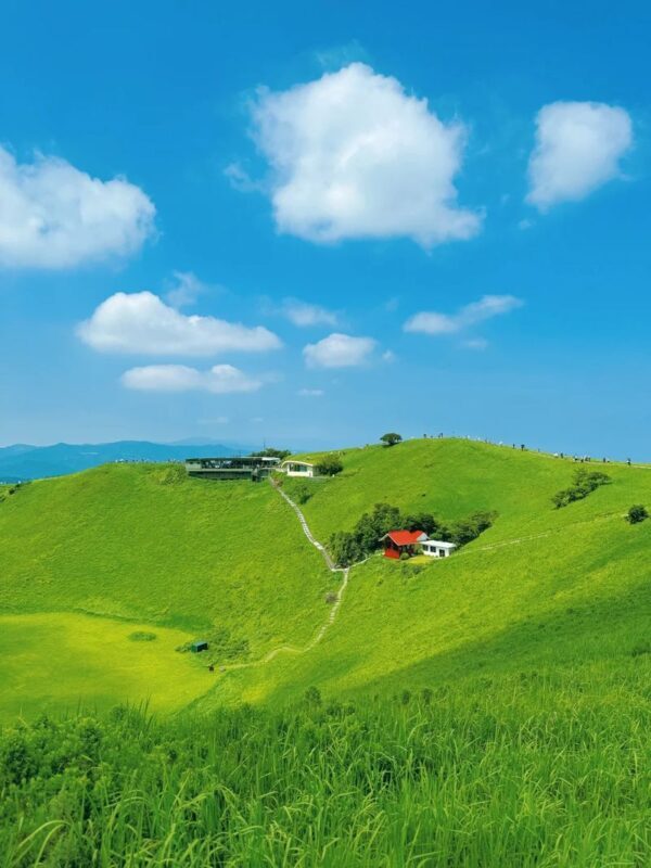Izu Omuroyama and Jogasaki Coast Full-Day Small Group Experience - Who should book this Izu day trip?