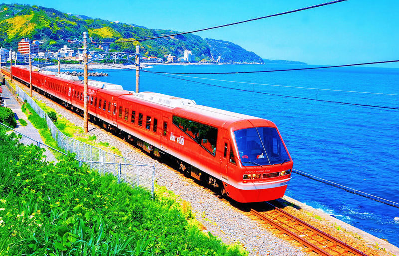 Izu Sea View Train Experience - Mount Omuro Jogasaki Coast Volcanic Seascape Day Trip (Departing from Tokyo) - A Tokyo departure for Izu’s volcanic coast