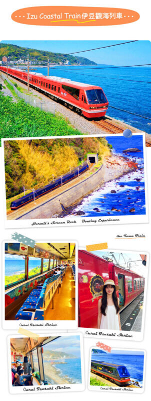 Izu Sea View Train Experience - Mount Omuro Jogasaki Coast Volcanic Seascape Day Trip (Departing from Tokyo) - Jogasaki’s lava cliffs and suspension bridge
