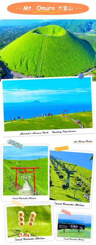 Izu Sea View Train Experience - Mount Omuro Jogasaki Coast Volcanic Seascape Day Trip (Departing from Tokyo) - What the price includes, and what it does not