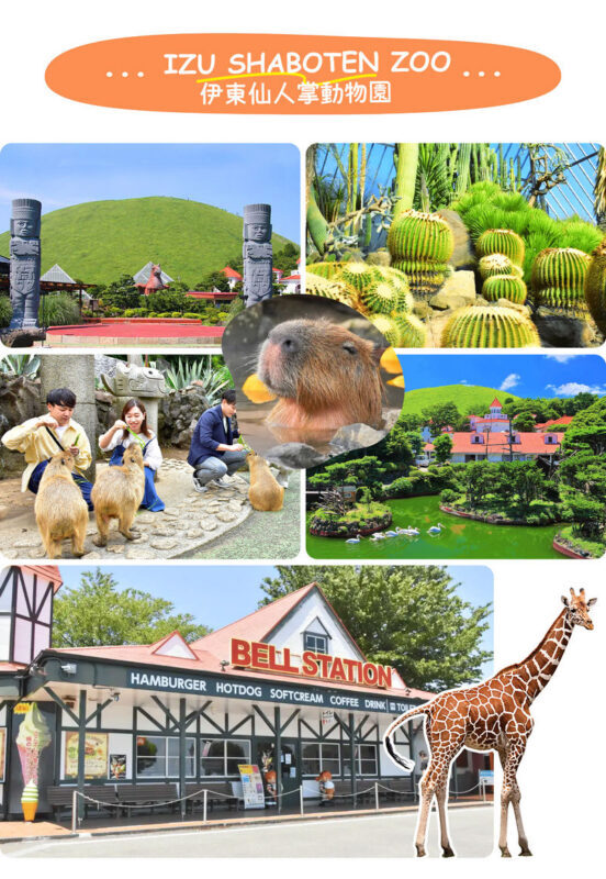 Izu Sea View Train Experience - Mount Omuro Jogasaki Coast Volcanic Seascape Day Trip (Departing from Tokyo) - Guides, group size and comfort on the road